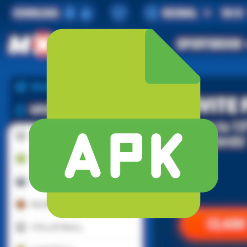 Instruction Download the APK File